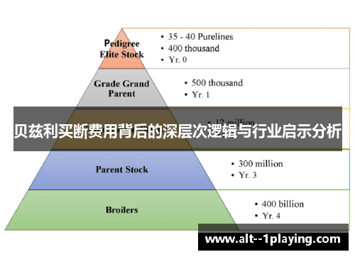 贝兹利买断费用背后的深层次逻辑与行业启示分析 贝兹利买断费用背后的深层次逻辑与行业启示分析